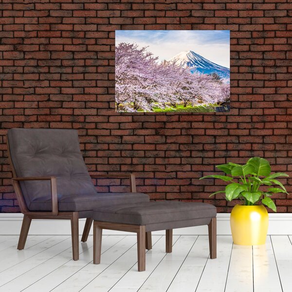 Slika - Japan u proljeće (70x50 cm)