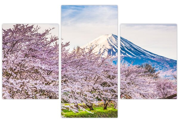 Slika - Japan u proljeće (90x60 cm)