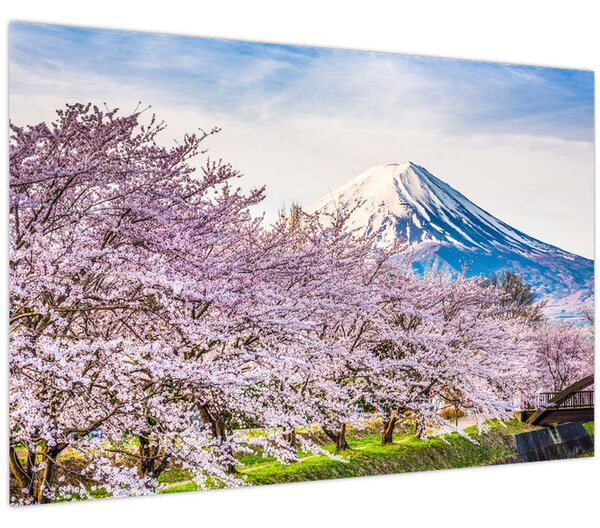 Slika - Japan u proljeće (90x60 cm)