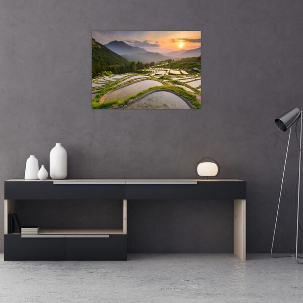 Slika - Rižine terase (70x50 cm)