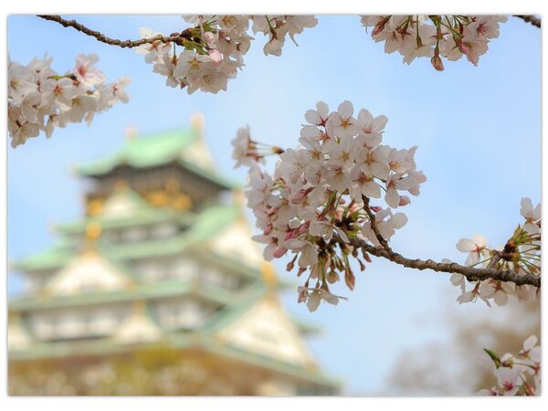 Slika - Sakura (70x50 cm)