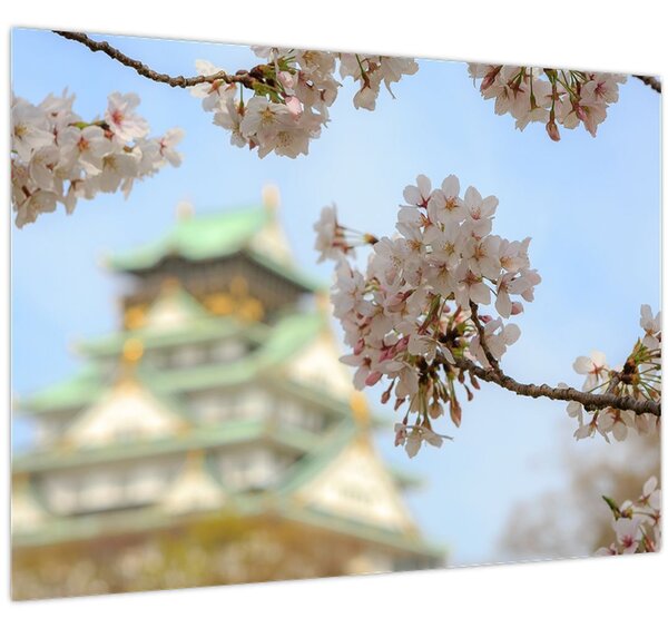 Slika - Sakura (70x50 cm)