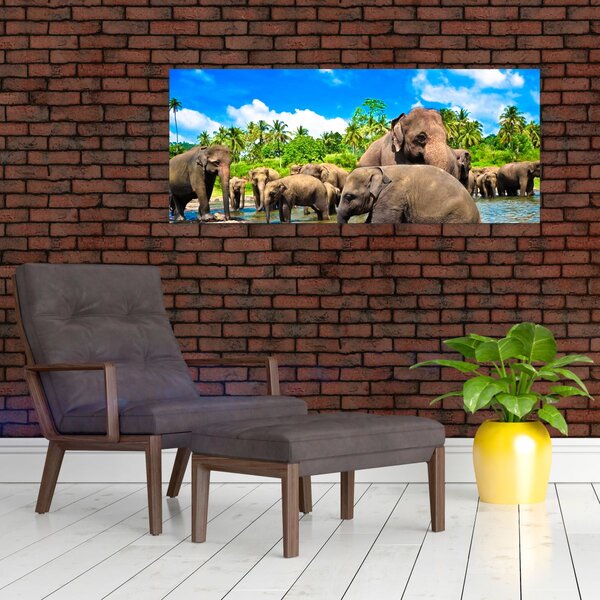 Slika - Slonovi, Šri Lanka (120x50 cm)