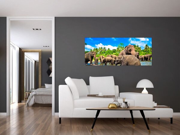 Slika - Slonovi, Šri Lanka (120x50 cm)