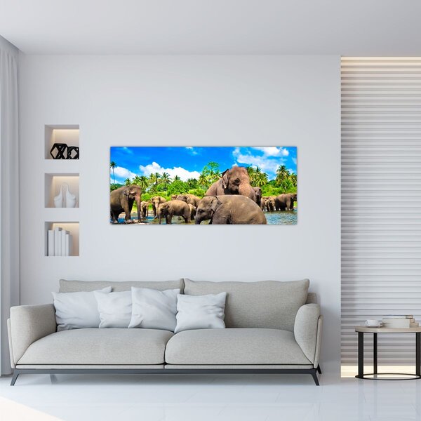 Slika - Slonovi, Šri Lanka (120x50 cm)