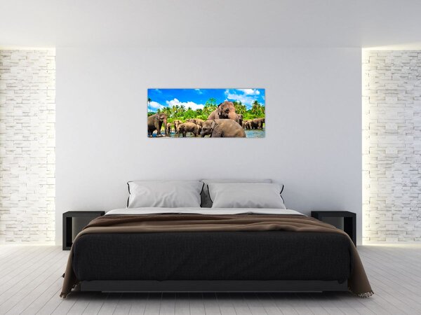 Slika - Slonovi, Šri Lanka (120x50 cm)