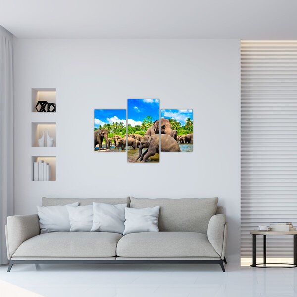 Slika - Slonovi, Šri Lanka (90x60 cm)