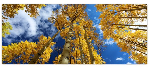 Slika - Aspen (120x50 cm)