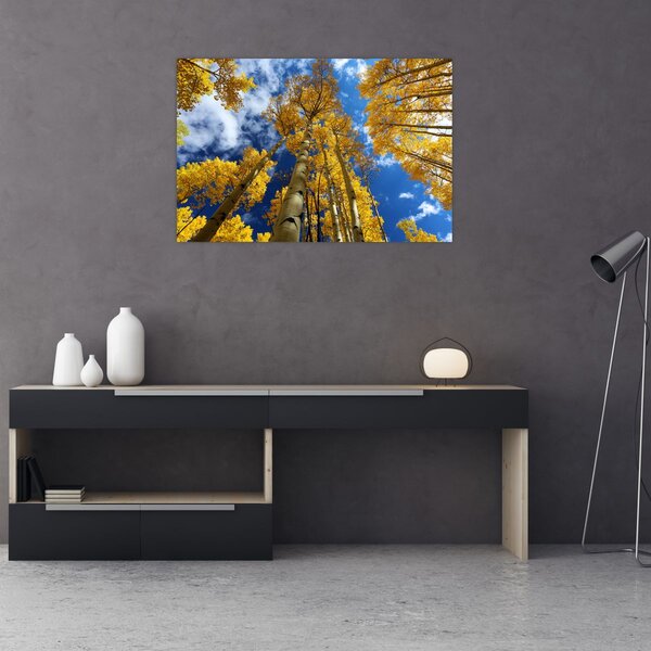 Slika - Aspen (90x60 cm)
