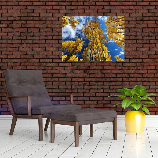 Slika - Aspen (70x50 cm)