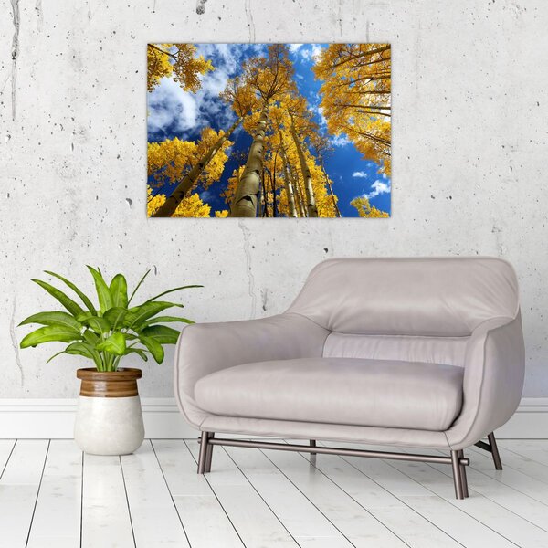 Slika - Aspen (70x50 cm)