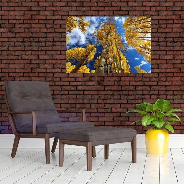Slika - Aspen (90x60 cm)