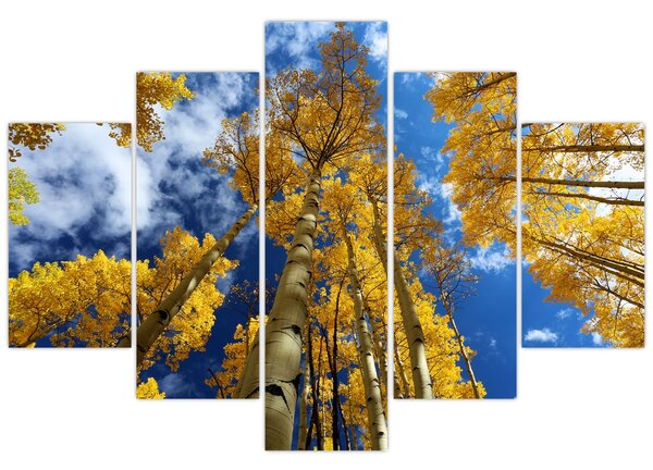 Slika - Aspen (150x105 cm)