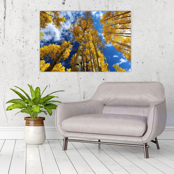 Slika - Aspen (90x60 cm)