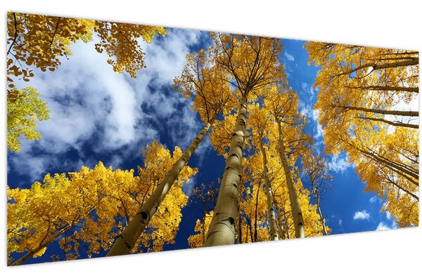 Slika - Aspen (120x50 cm)