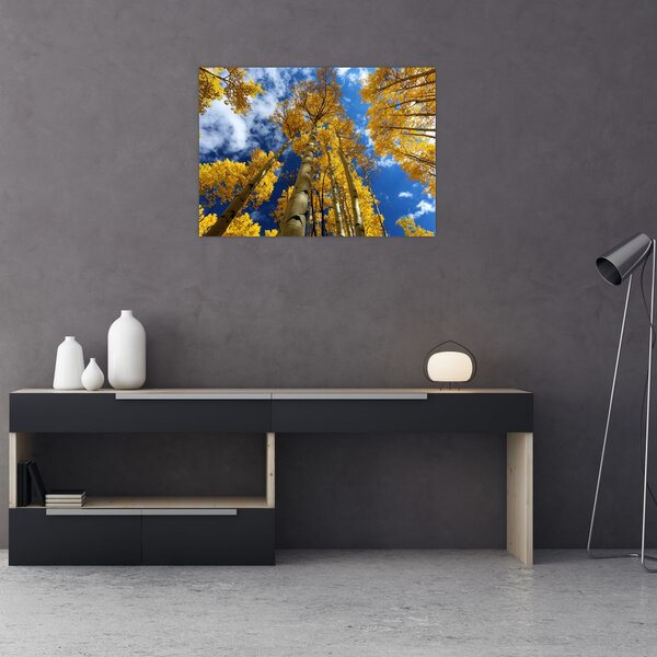Slika - Aspen (70x50 cm)