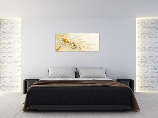 Slika - Makro fotografija maslačka (120x50 cm)