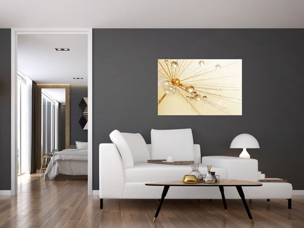 Slika - Makro fotografija maslačka (90x60 cm)