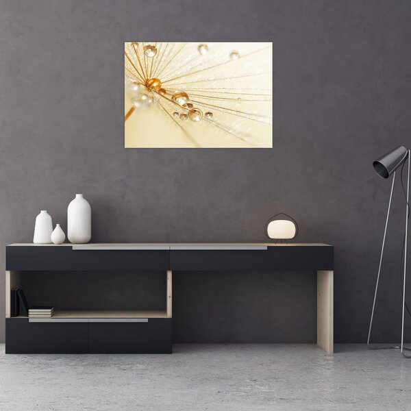 Slika - Makro fotografija maslačka (70x50 cm)