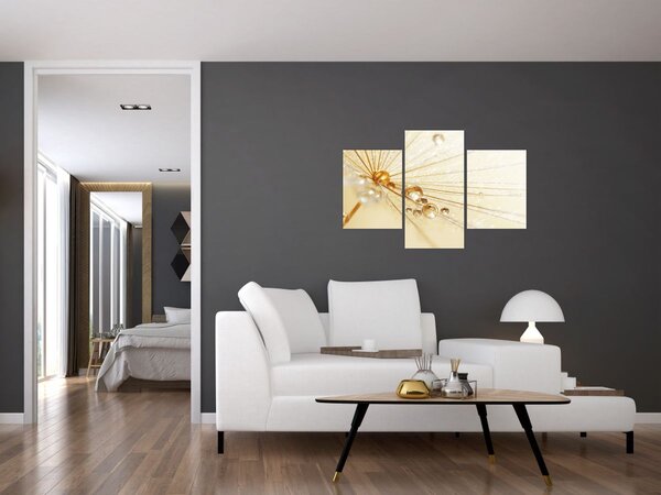Slika - Makro fotografija maslačka (90x60 cm)