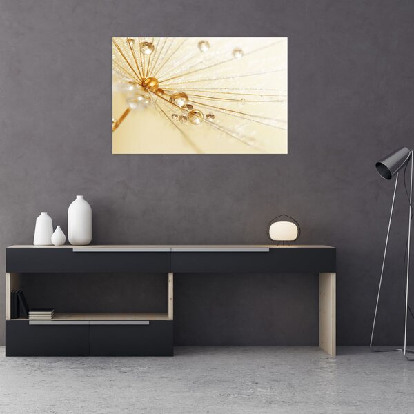 Slika - Makro fotografija maslačka (90x60 cm)