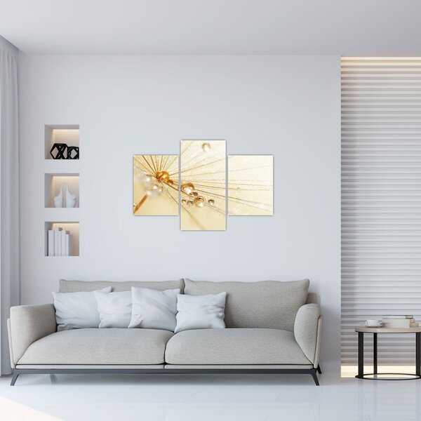 Slika - Makro fotografija maslačka (90x60 cm)