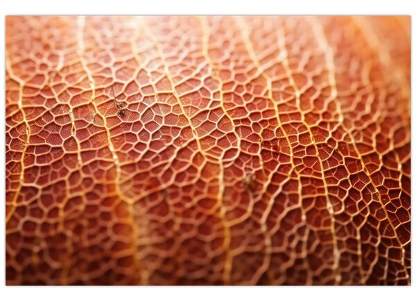 Slika - Detalj teksture (90x60 cm)