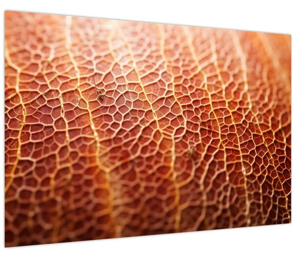 Slika - Detalj teksture (90x60 cm)