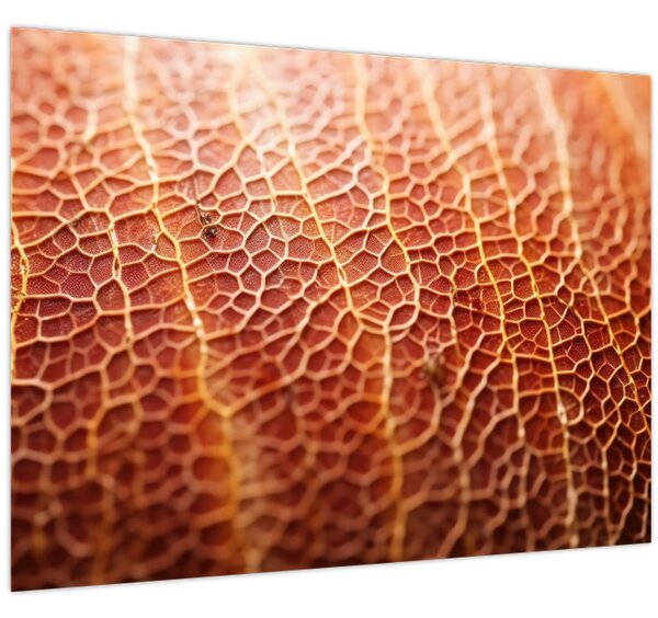Slika - Detalj teksture (70x50 cm)