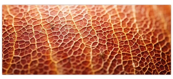 Slika - Detalj teksture (120x50 cm)