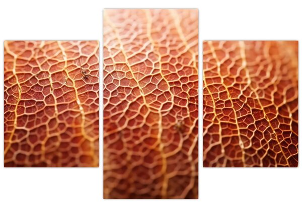 Slika - Detalj teksture (90x60 cm)