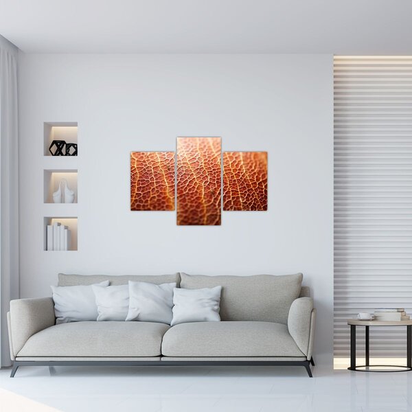 Slika - Detalj teksture (90x60 cm)