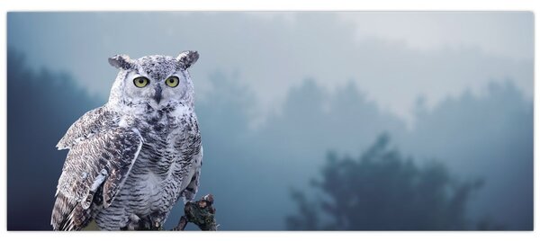 Slika - Snježna sova (120x50 cm)