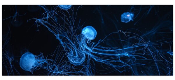 Slika - Meduza (120x50 cm)
