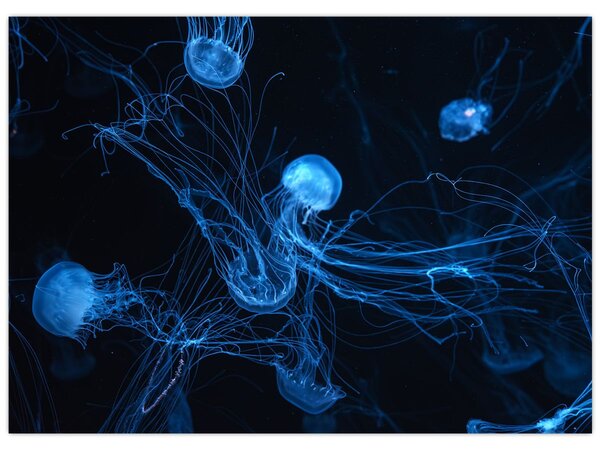 Slika - Meduza (70x50 cm)