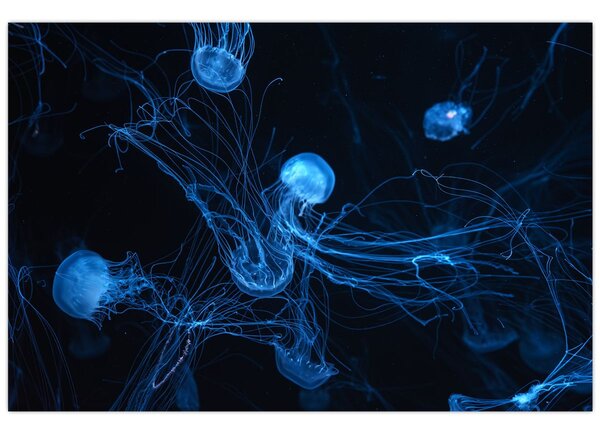Slika - Meduza (90x60 cm)