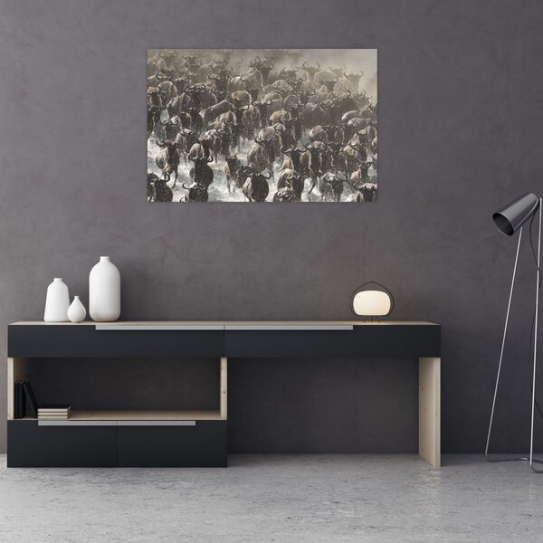 Slika - Krdo gnuova (90x60 cm)
