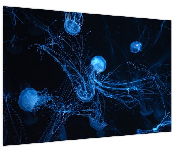 Slika - Meduza (90x60 cm)