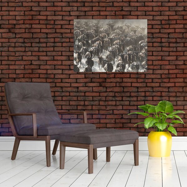 Slika - Krdo gnuova (70x50 cm)