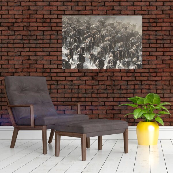 Slika - Krdo gnuova (90x60 cm)