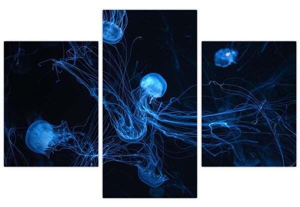 Slika - Meduza (90x60 cm)
