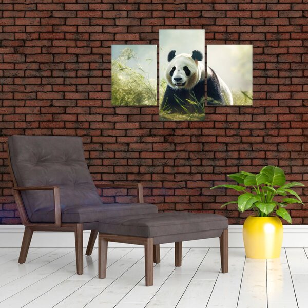 Slika - Panda (90x60 cm)