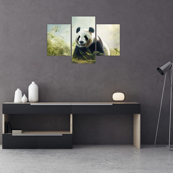 Slika - Panda (90x60 cm)