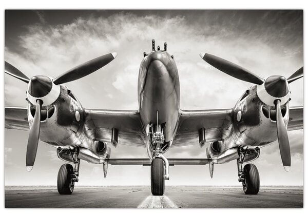 Slika - Warbird (90x60 cm)