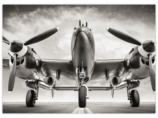 Slika - Warbird (70x50 cm)