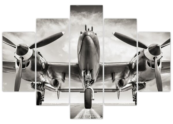 Slika - Warbird (150x105 cm)