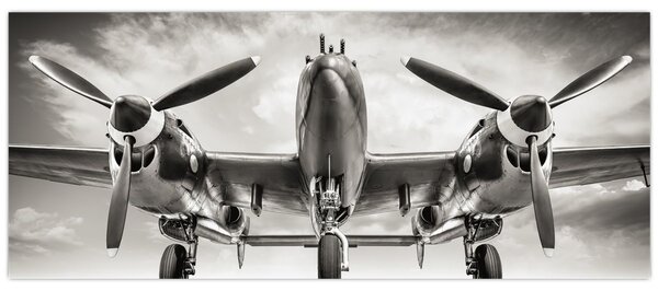 Slika - Warbird (120x50 cm)