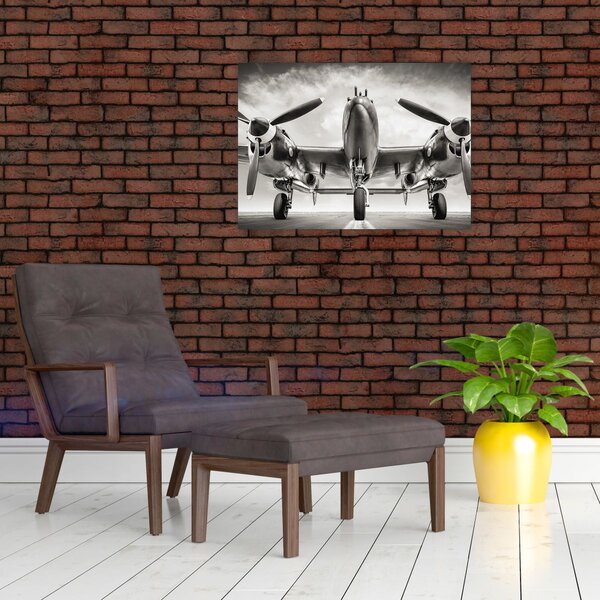 Slika - Warbird (70x50 cm)