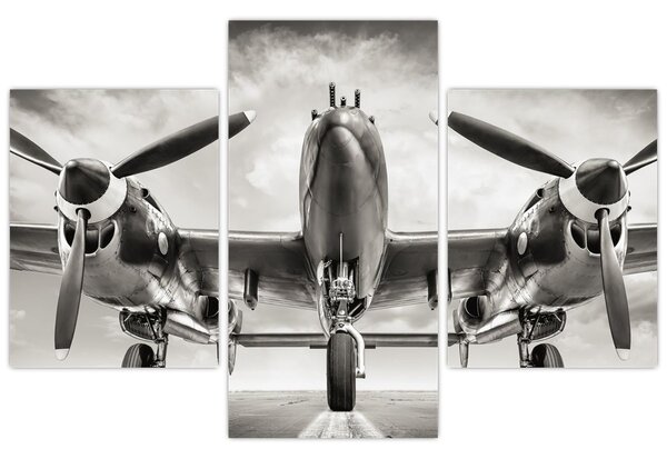 Slika - Warbird (90x60 cm)