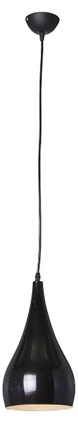 VISILICA DRAGON BLACK D150 02697